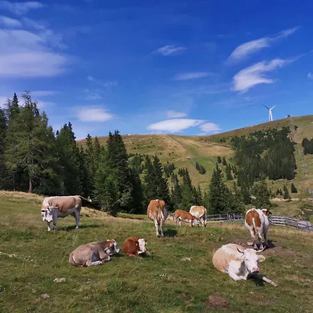 Berghütte Murmele * Lachtal