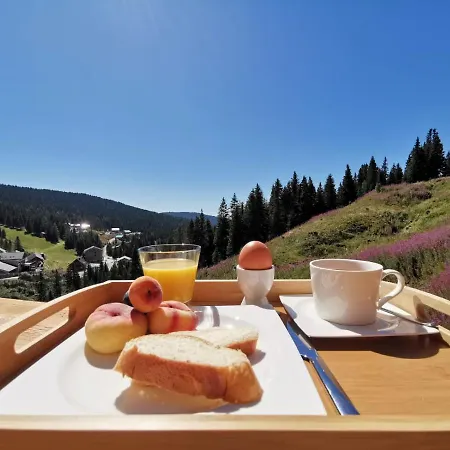 Chalet Berghütte Murmele Lachtal