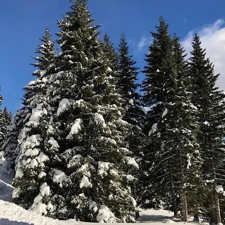 Berghütte Murmele * Lachtal