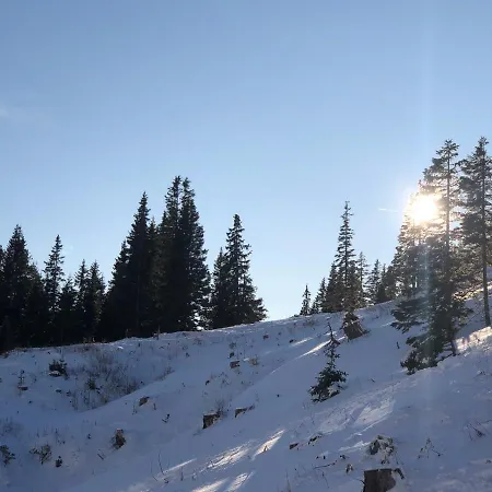 Berghütte Murmele Lachtal