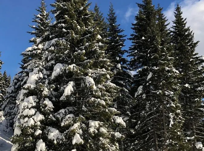 Berghütte Murmele * Lachtal