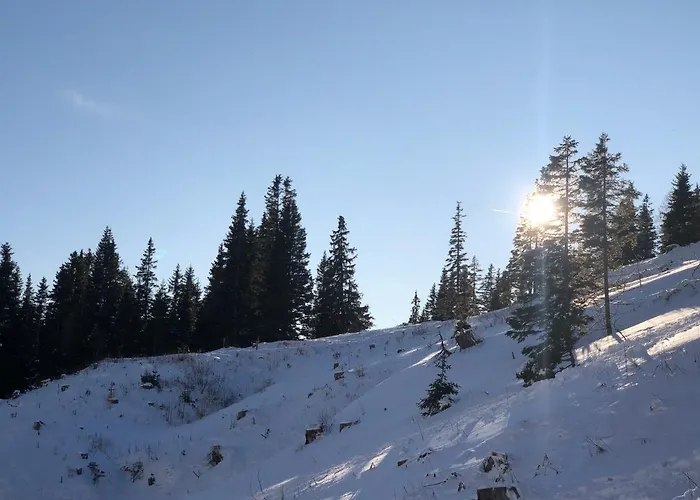Berghütte Murmele Lachtal
